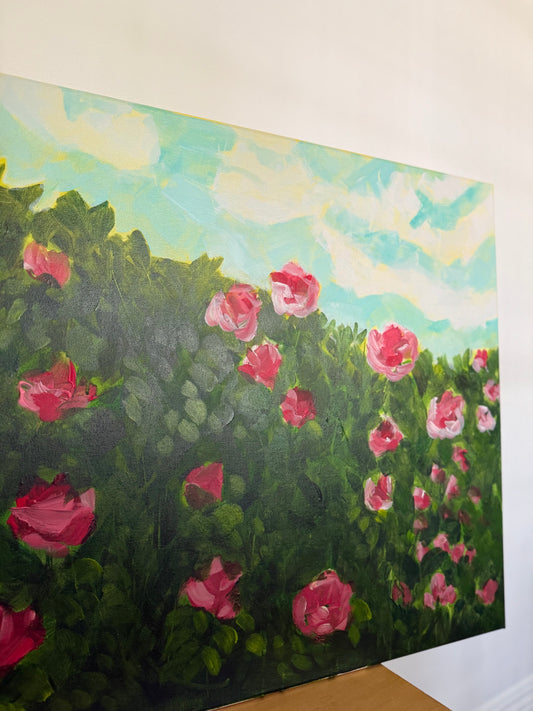 "Hiding Place" Roses and Blue Skies